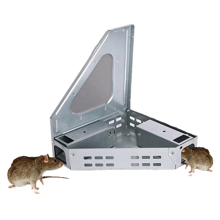 Corner Multicatch Metal Mouse Trap Box - NRTM004, in use