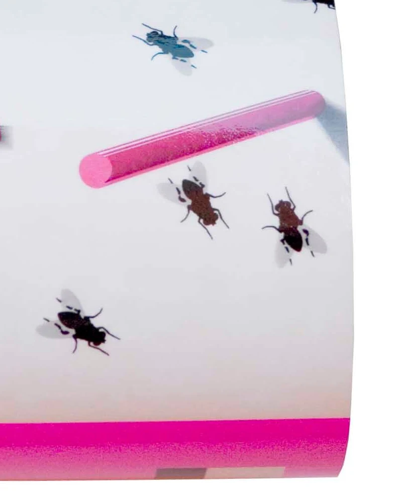 Fly Glue Sheet - NRTG037, detail view
