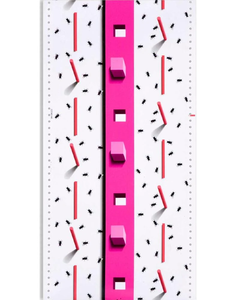 Fly Glue Sheet - NRTG037 — KUNDA fly glue trap