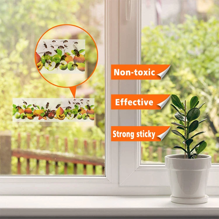 Fruit Image Window Fly Sticker Glue Trap - NRTG026, detail view