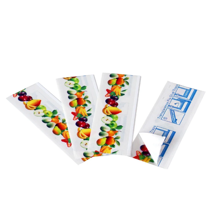 Fruit Image Window Fly Sticker Glue Trap - NRTG026 — KUNDA fly glue trap