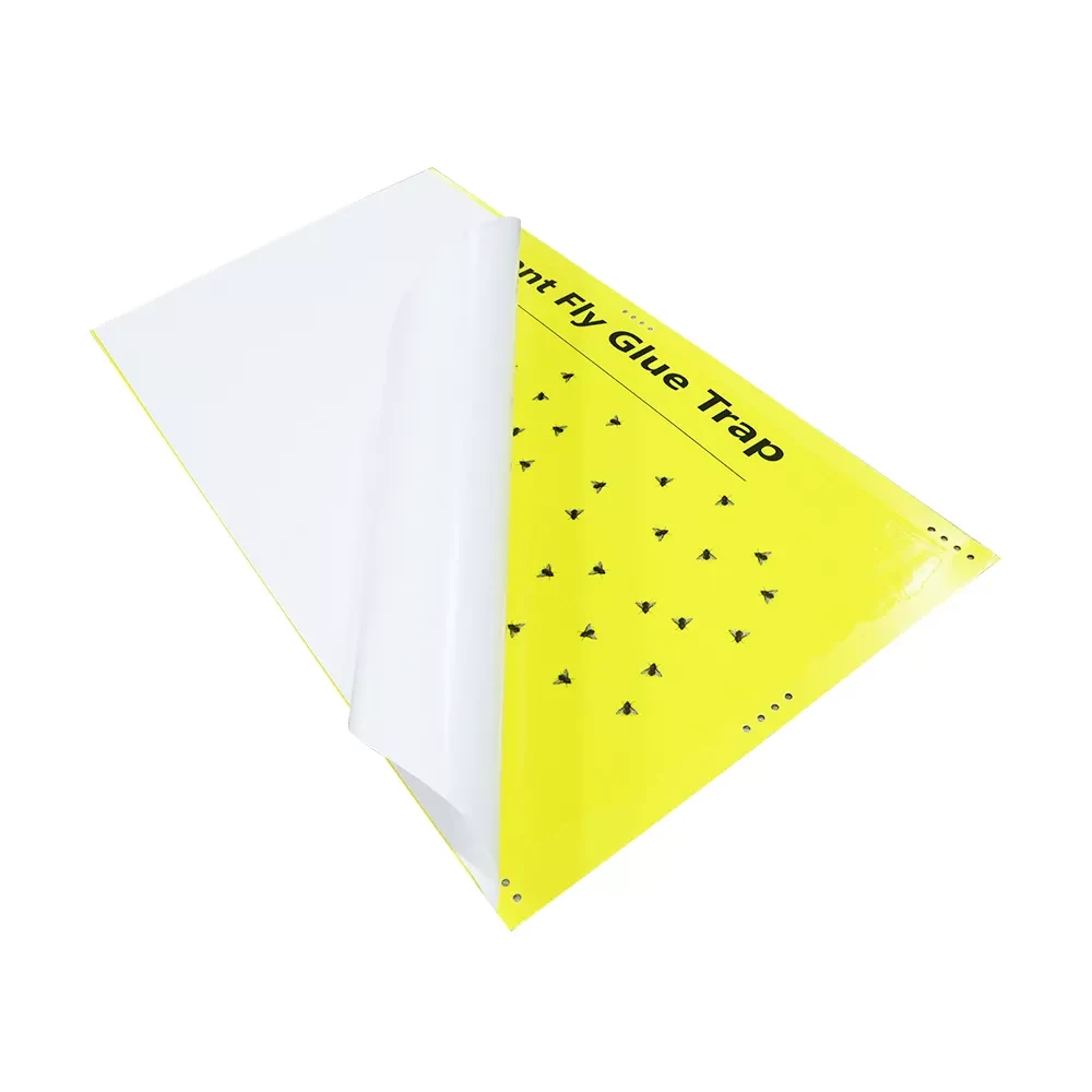 Giant Fly glue trap - NRTG023G, packaging and pack detail