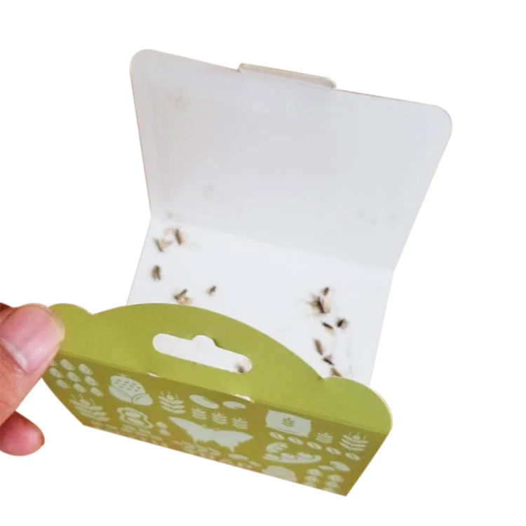House Pantry Moth Trap with Pheromones - NRTG027P, in use