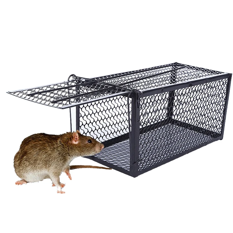 Metal Mouse Cage - NRTM009, in use