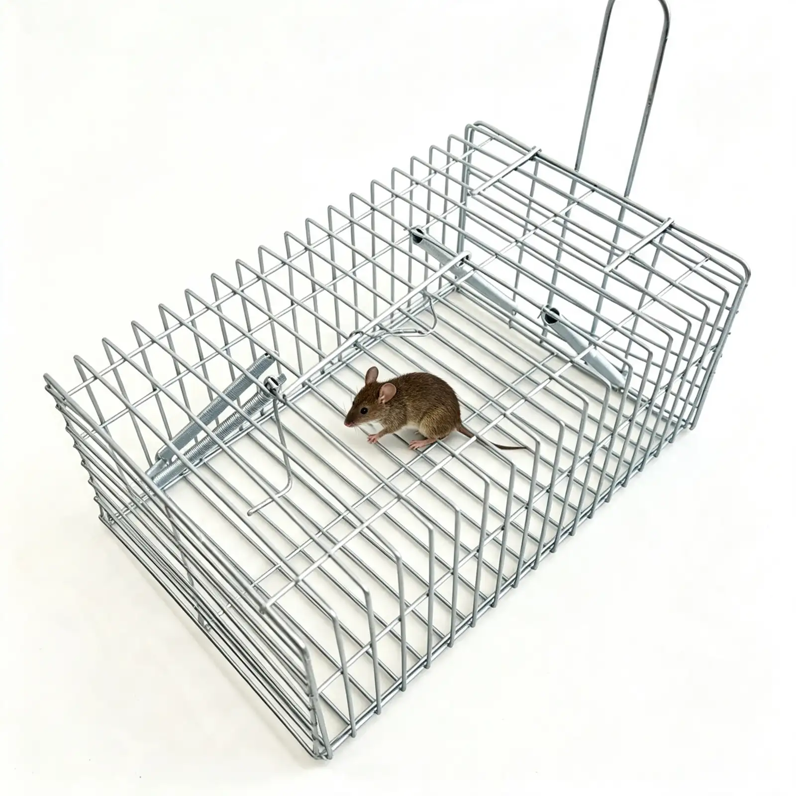 Metal Mouse Rat Cage - NRTM023, alternate angle