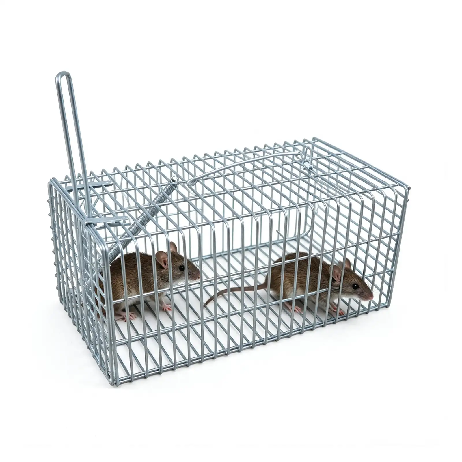Metal Mouse Rat Cage - NRTM023, packaging and pack detail