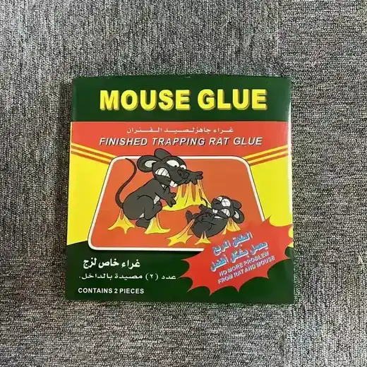 Mouse Glue Trap Paper - NRTG004, in use