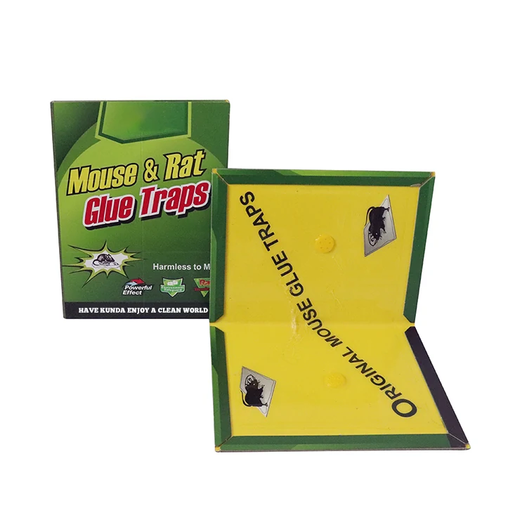 Paperboard Mouse Glue Trap - NRTG001, in use