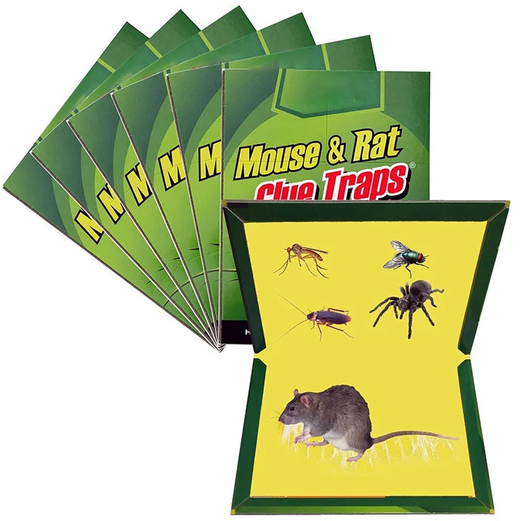 Paperboard Mouse Glue Trap - NRTG001, detail view