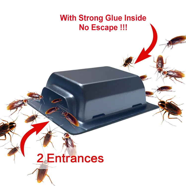 Plastic Roach Glue Trap - NRTG018, alternate angle
