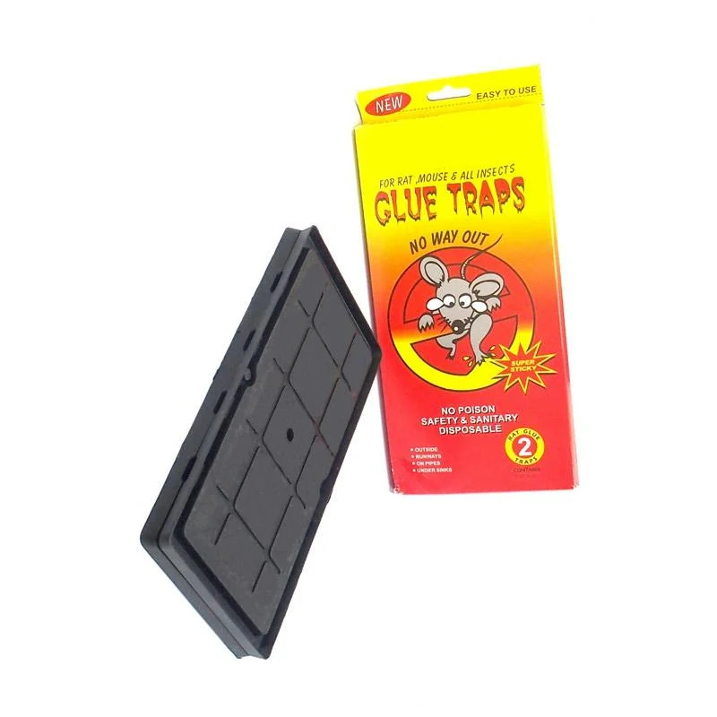 Heavy Duty Plastic Tray Rat Glue Traps - NRTG005, in use