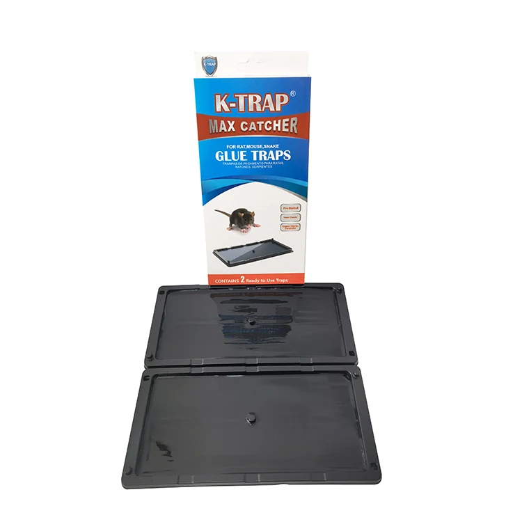 Plastic Tray Rat Glue Trap - NRTG005U, detail view