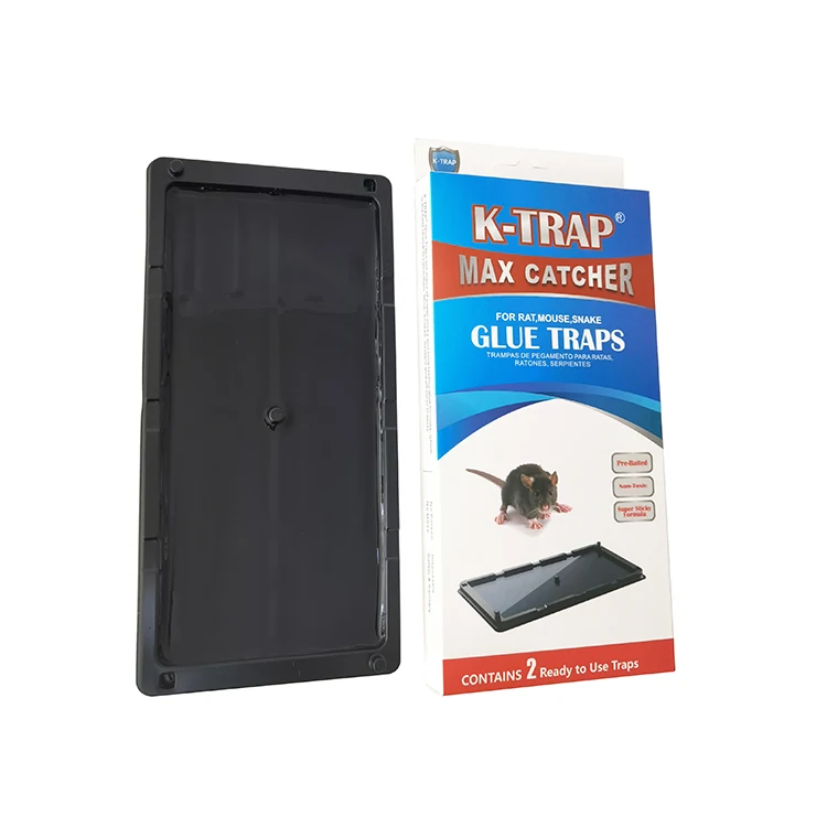 Plastic Tray Rat Glue Trap - NRTG005U, in use