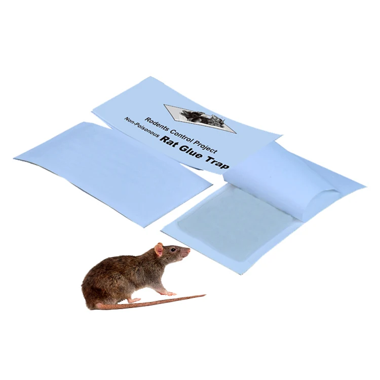 Rat Glue Board Trap with Release Paper - NRTG008, packaging and pack detail