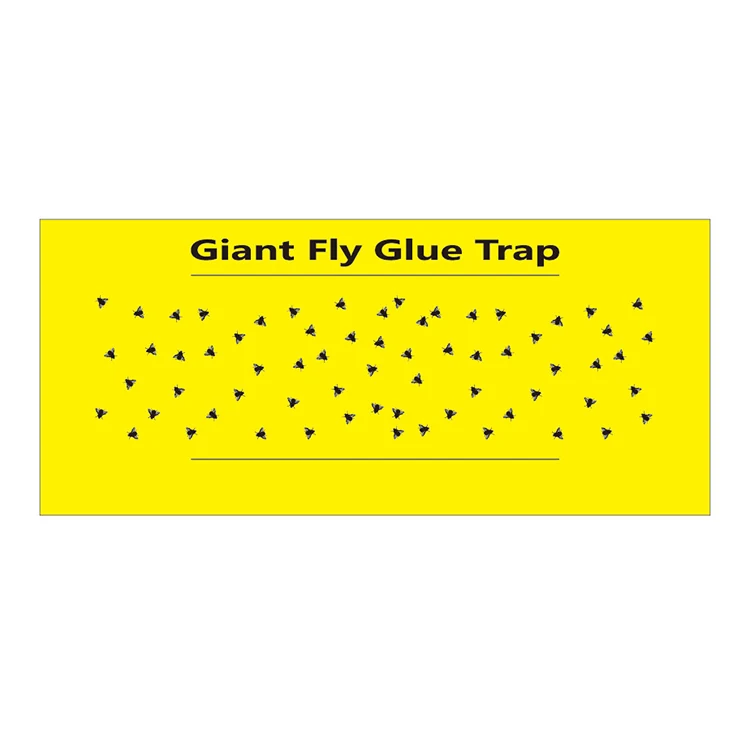 Replacement Glue Boards - NRTG021 — KUNDA fly glue trap