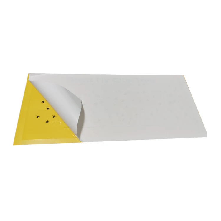 Replacement Glue Boards - NRTG021, packaging and pack detail