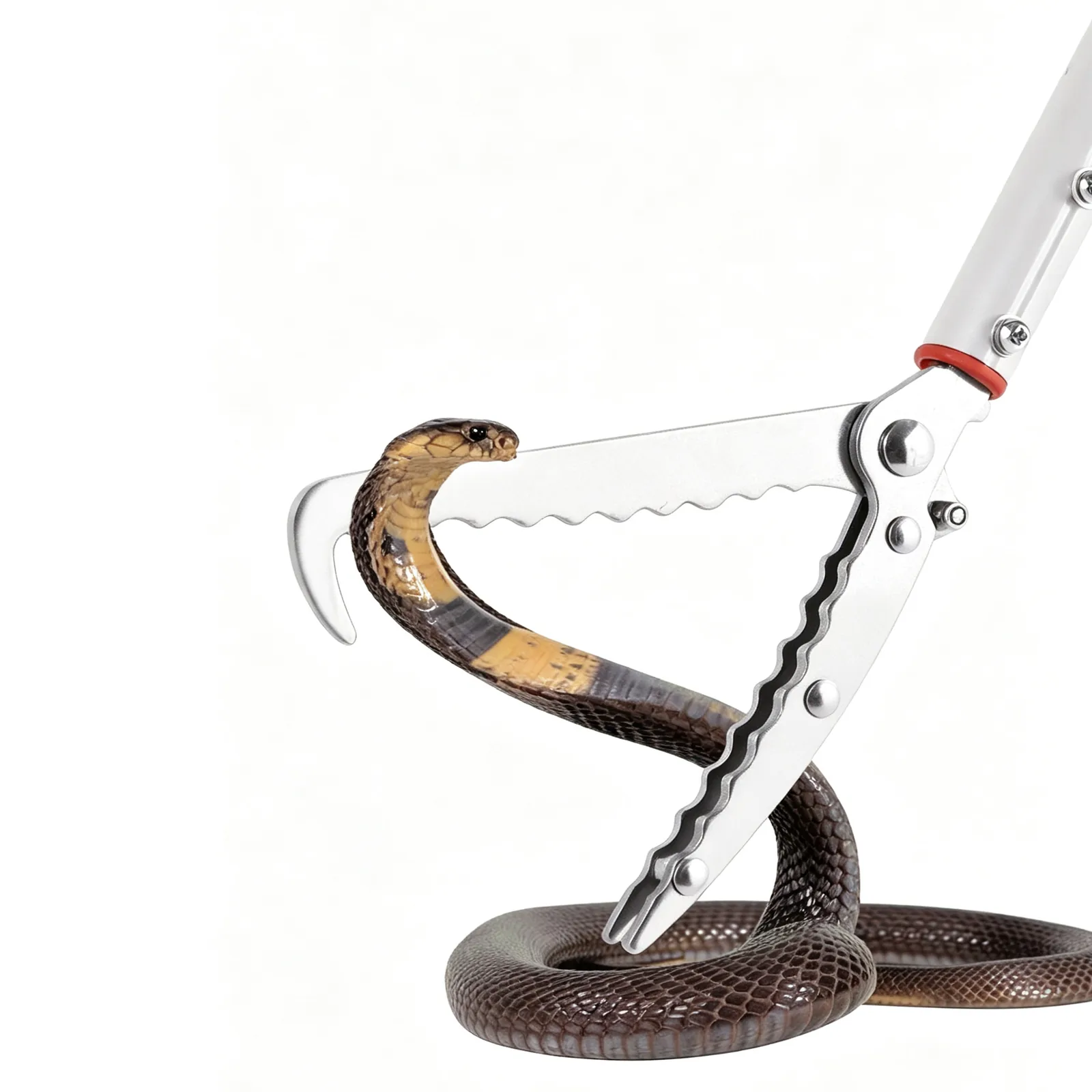 Snake Catcher Stick - KDBS003, in use