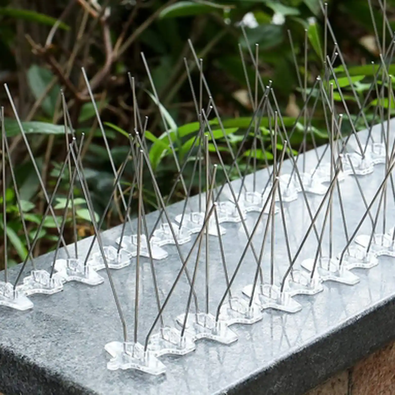 Stainless Steel Bird Spike - KSBS010, detail view