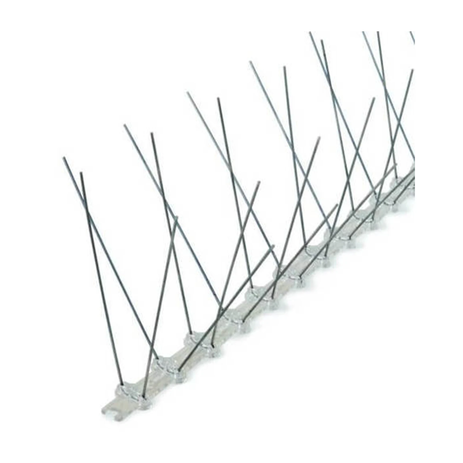 Stainless Steel Bird Spike - KSBS010, in use