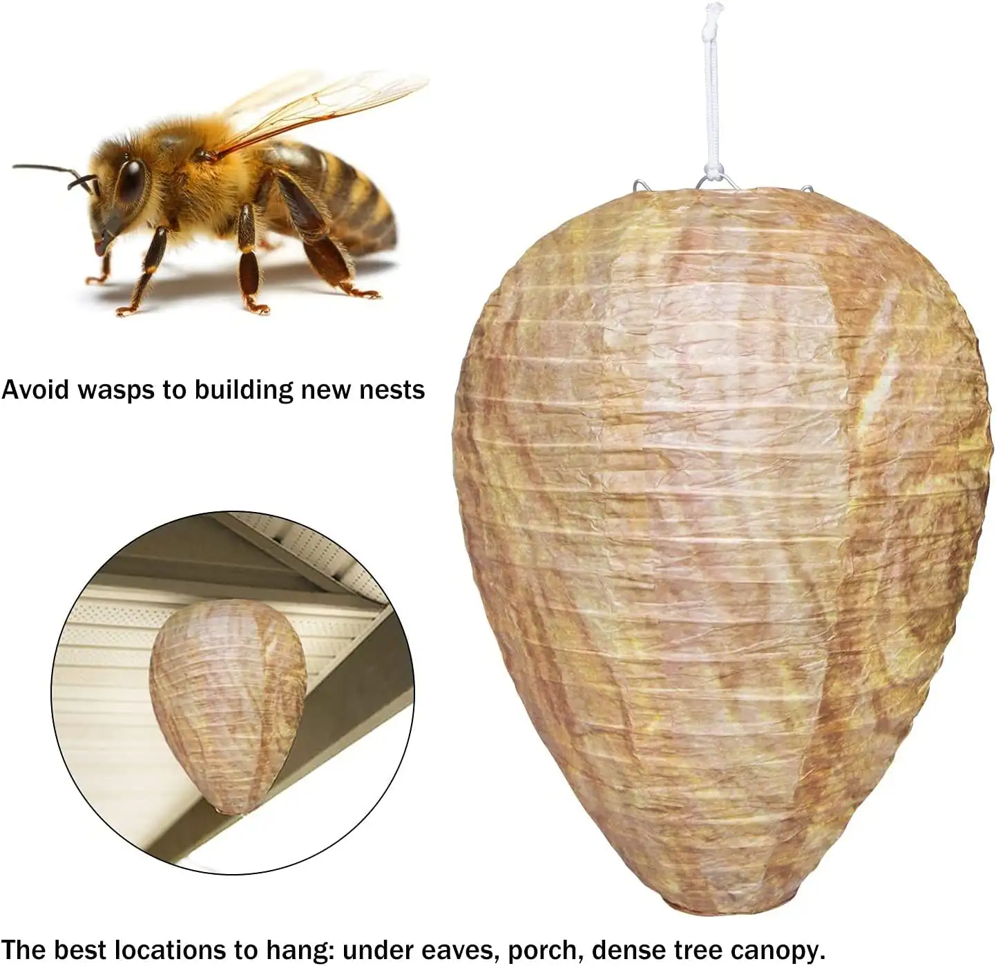 Wasp&Bee Trap - KDBC006, in use