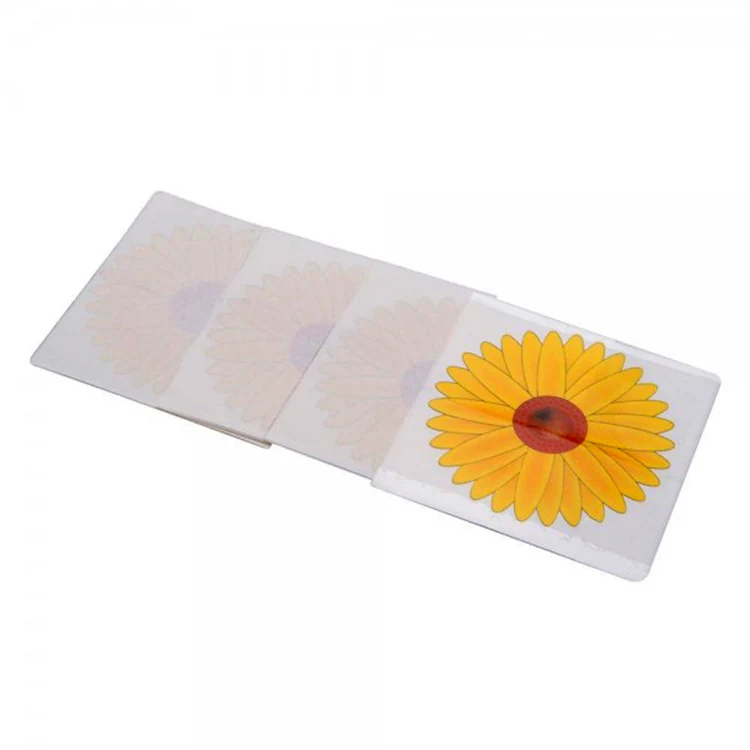 Window Fly Glue Trap - NRTG025, packaging and pack detail