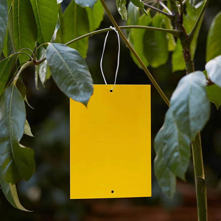 Yellow Sticky Traps for Insects - NRTG022, alternate angle