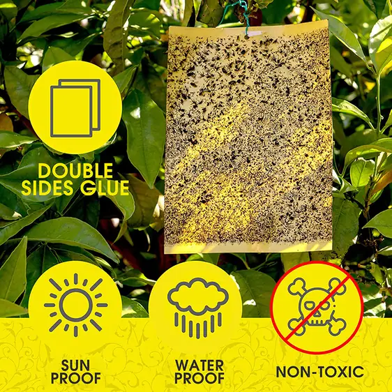 Yellow Sticky Traps for Insects - NRTG022, detail view
