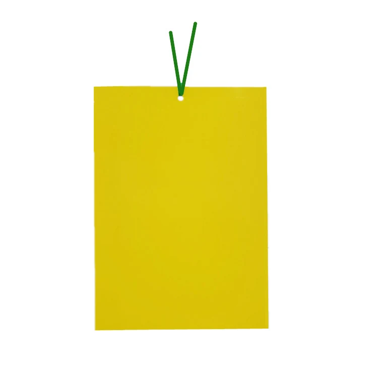 Yellow Sticky Traps for Insects - NRTG022 — KUNDA insect sticky board