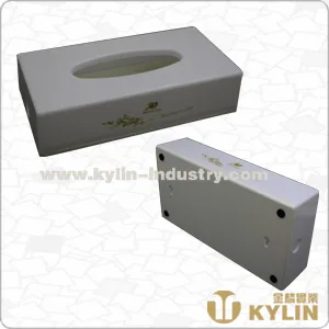 Rectangular Tissue Box JL-ND006-D