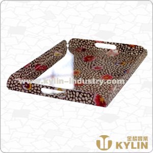 acrylic tray