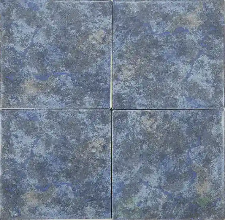 Florida 6″ x 6″ Porcelain Pool Tile porcelain tile in 6″ x 6″