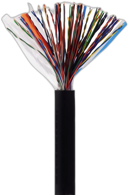 30 Pair Outdoor — CAT3 Multipair Cable manufactured by LANP CABLE