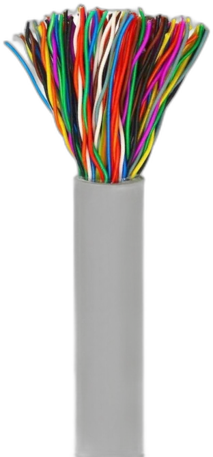 50 Pair — CAT3 Multipair Cable manufactured by LANP CABLE