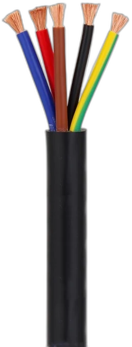 5 Core Cu Black — Multi-Core Cable manufactured by LANP CABLE