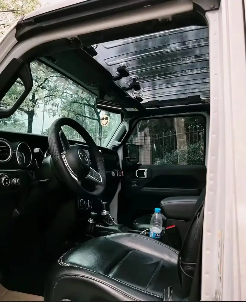JL, Jt Use, New Product Putco Clear Skylight Star Roof view 3