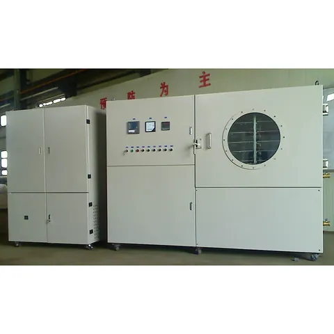 Industrial freeze dryer with vacuum drying chamber for fruit products