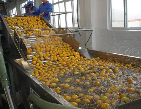 Stainless steel fruit washing machine at a juice line intake