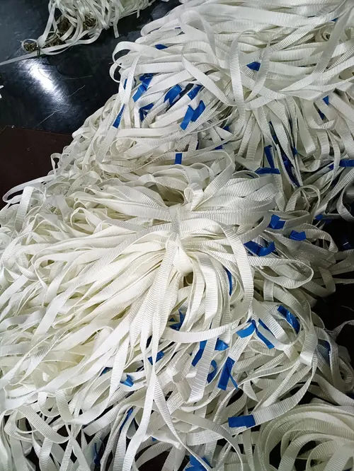 Disposable Endless Webbing Sling view 2