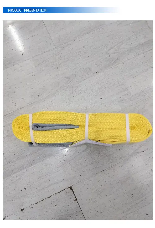 Polyester Flat Webbing Sling view 4