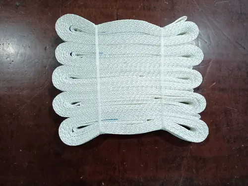 Disposable Endless Webbing Sling view 3