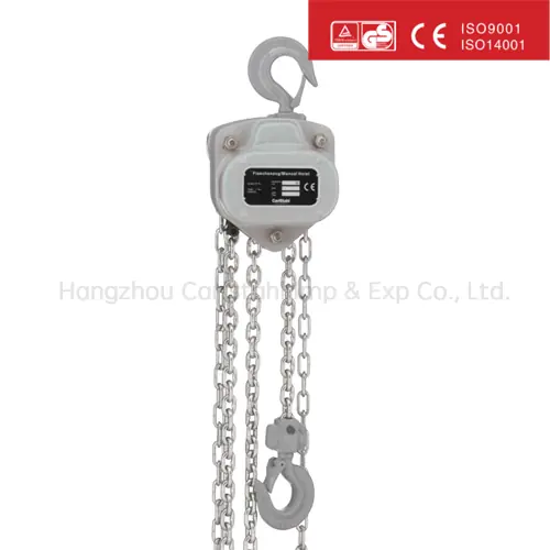 Chain Hoist supplied by Carl Stahl China