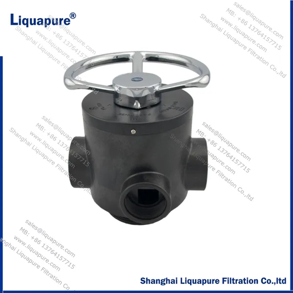 F56D 10t/hr Manual Filter Valve
