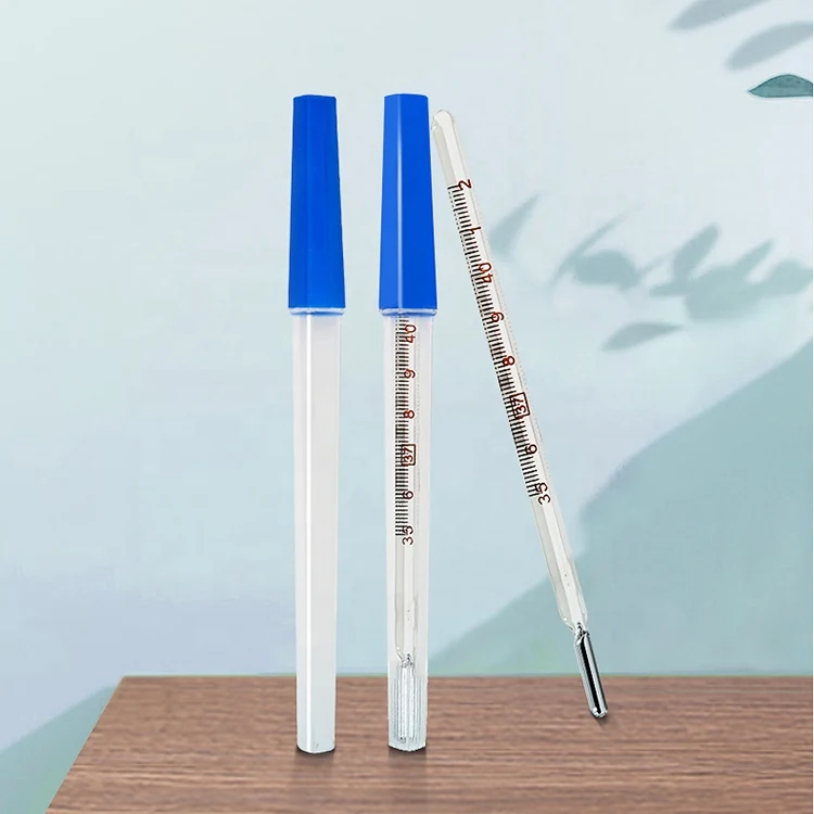 Glass Mercury Thermometer