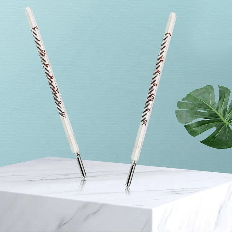 Glass Mercury Thermometer