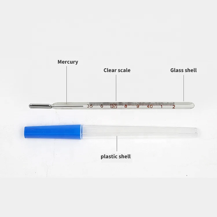 Glass Mercury Thermometer