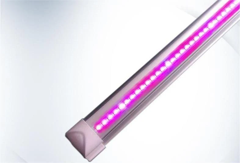 Plant Grow Light 600W Dimmable 1560 umol Per Second product photograph