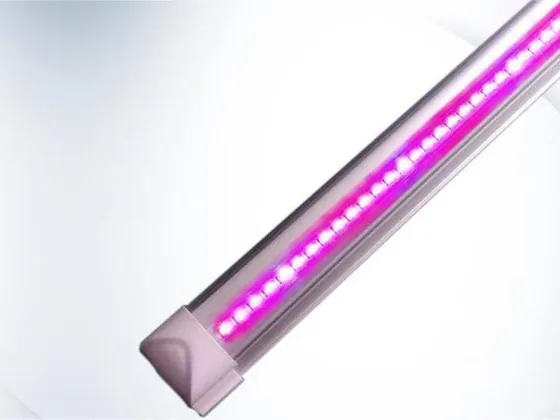Plant Grow Light 600W Dimmable 1560 umol Per Second product photograph