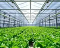 Horticulture And Plant Growing