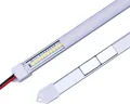Magnetic light