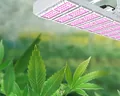 Plant Grow Light